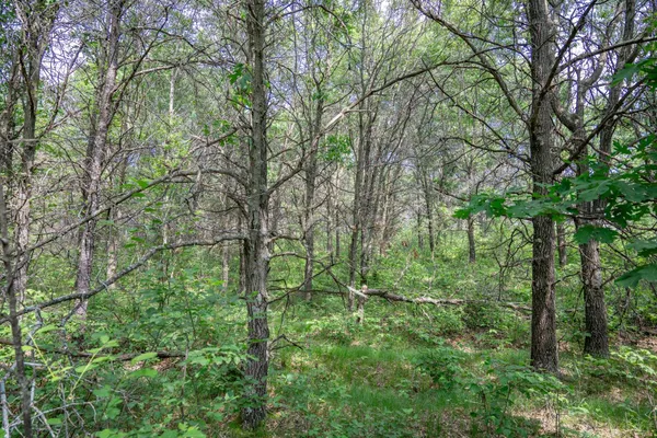 $169,400 | 2.08-ac Clearview, Nekoosa, WI 54456