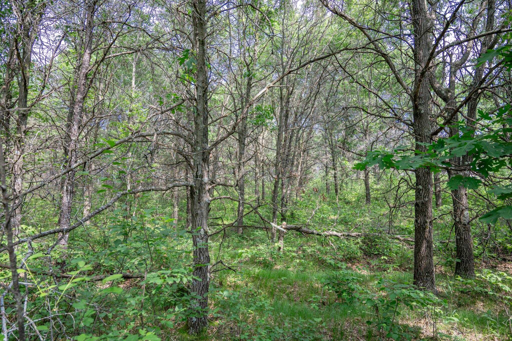 2.08-ac Clearview Nekoosa, WI 54456 - Photo 15 of 45