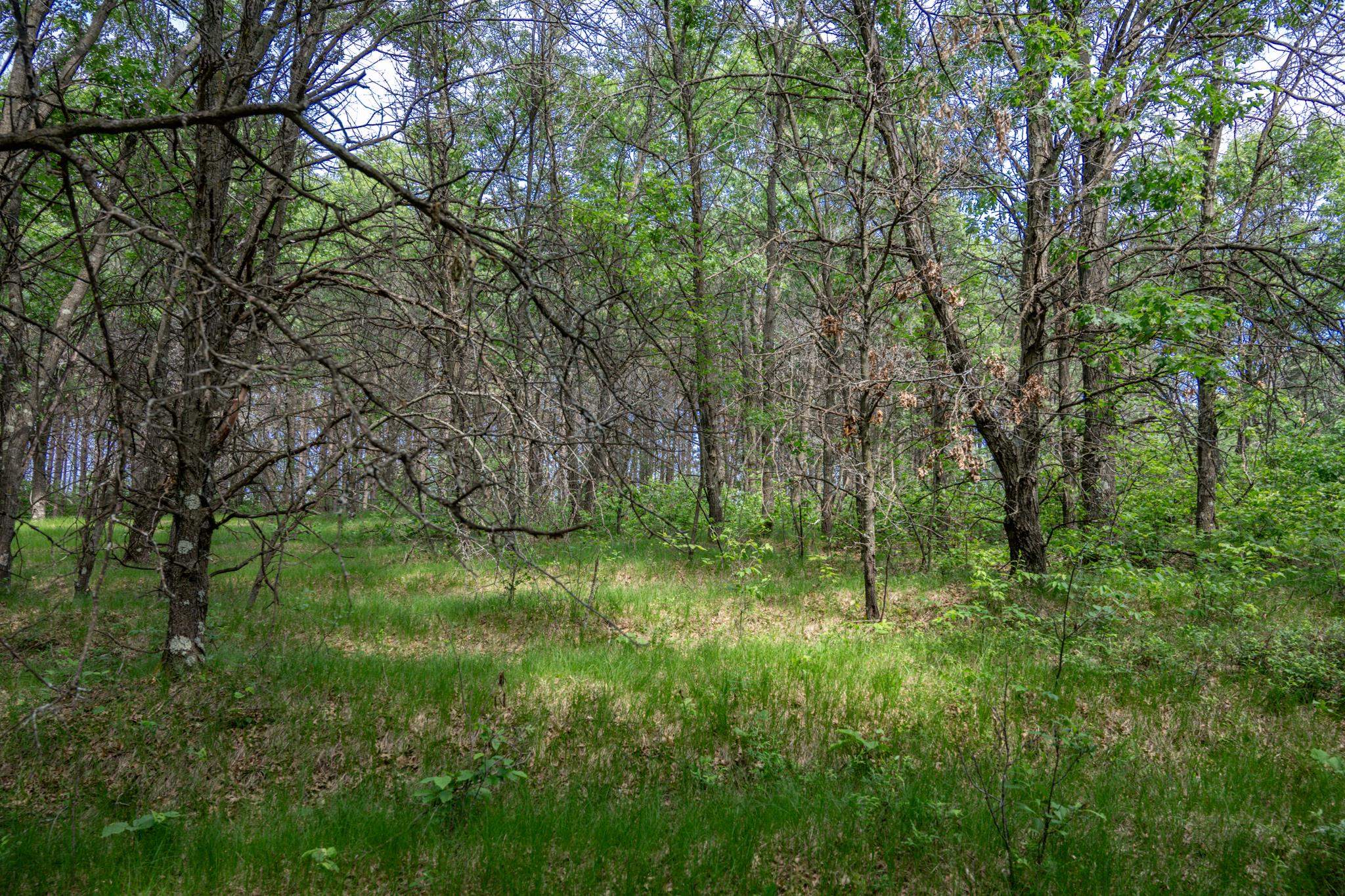 2.08-ac Clearview Nekoosa, WI 54456 - Photo 16 of 45