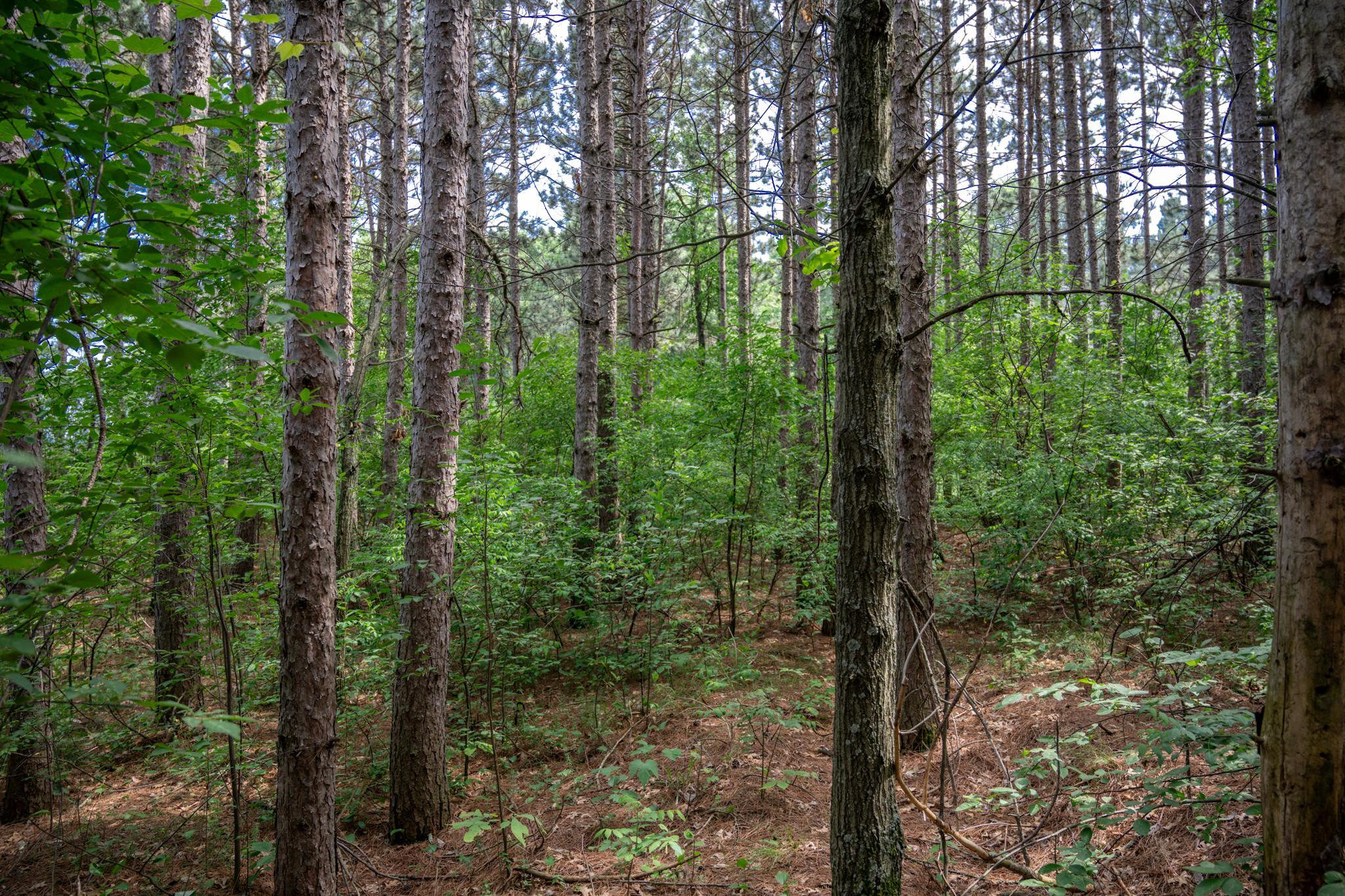 2.08-ac Clearview Nekoosa, WI 54456 - Photo 17 of 45