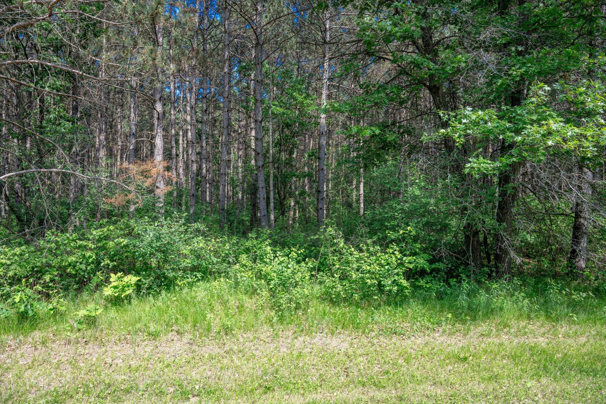 2.08-ac Clearview Nekoosa, WI 54456 - Photo 18 of 45