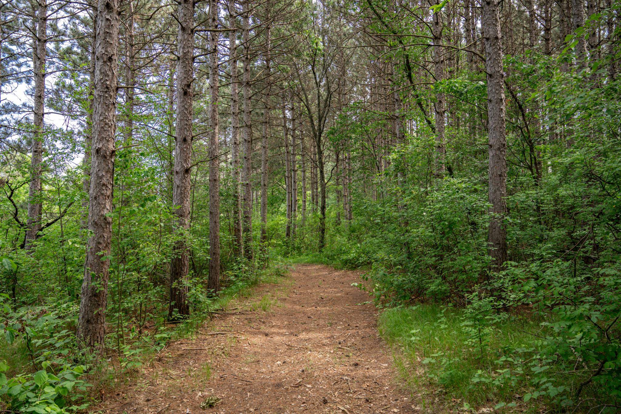 2.08-ac Clearview Nekoosa, WI 54456 - Photo 19 of 45