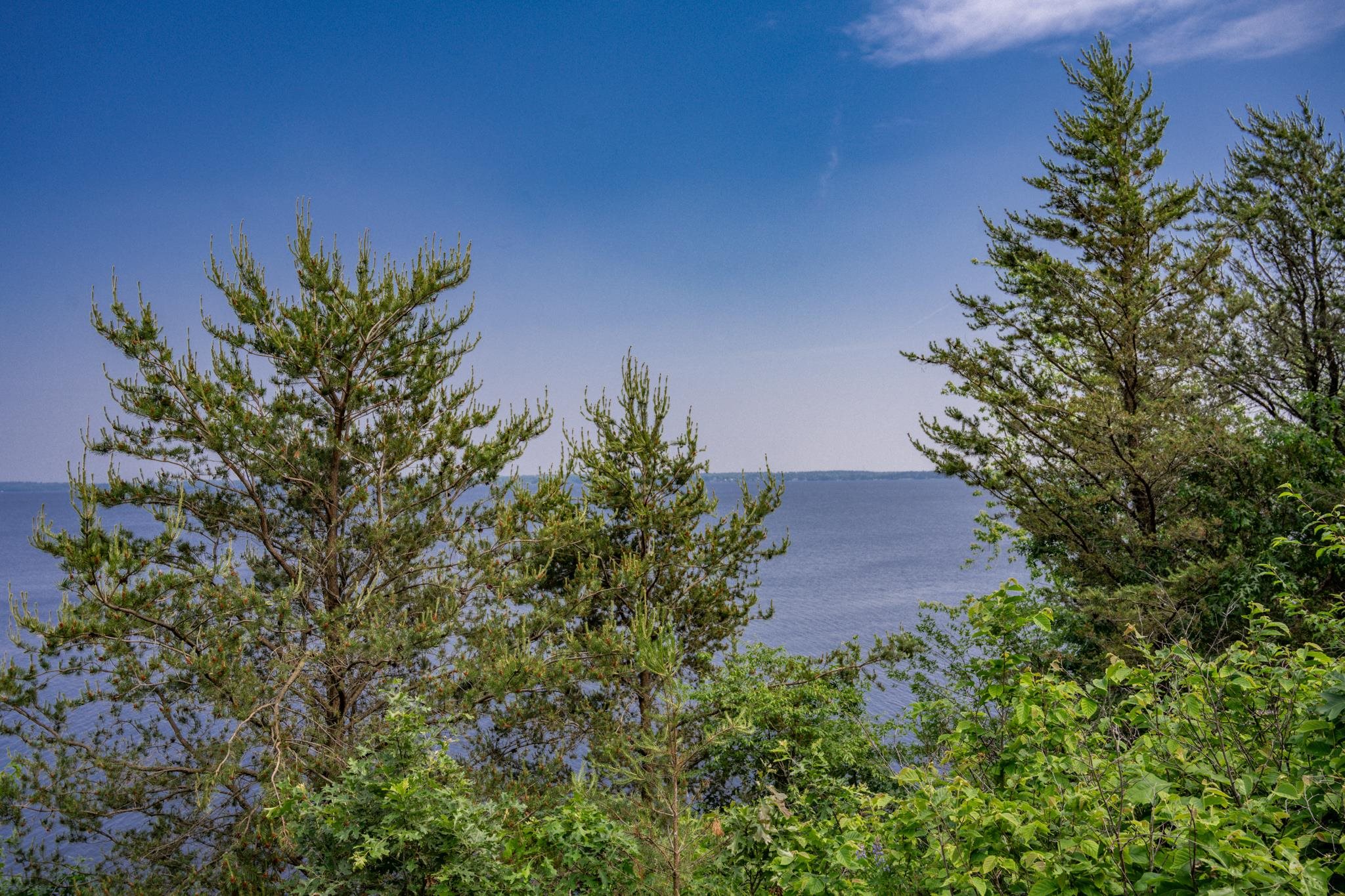 2.08-ac Clearview Nekoosa, WI 54456 - Photo 20 of 45