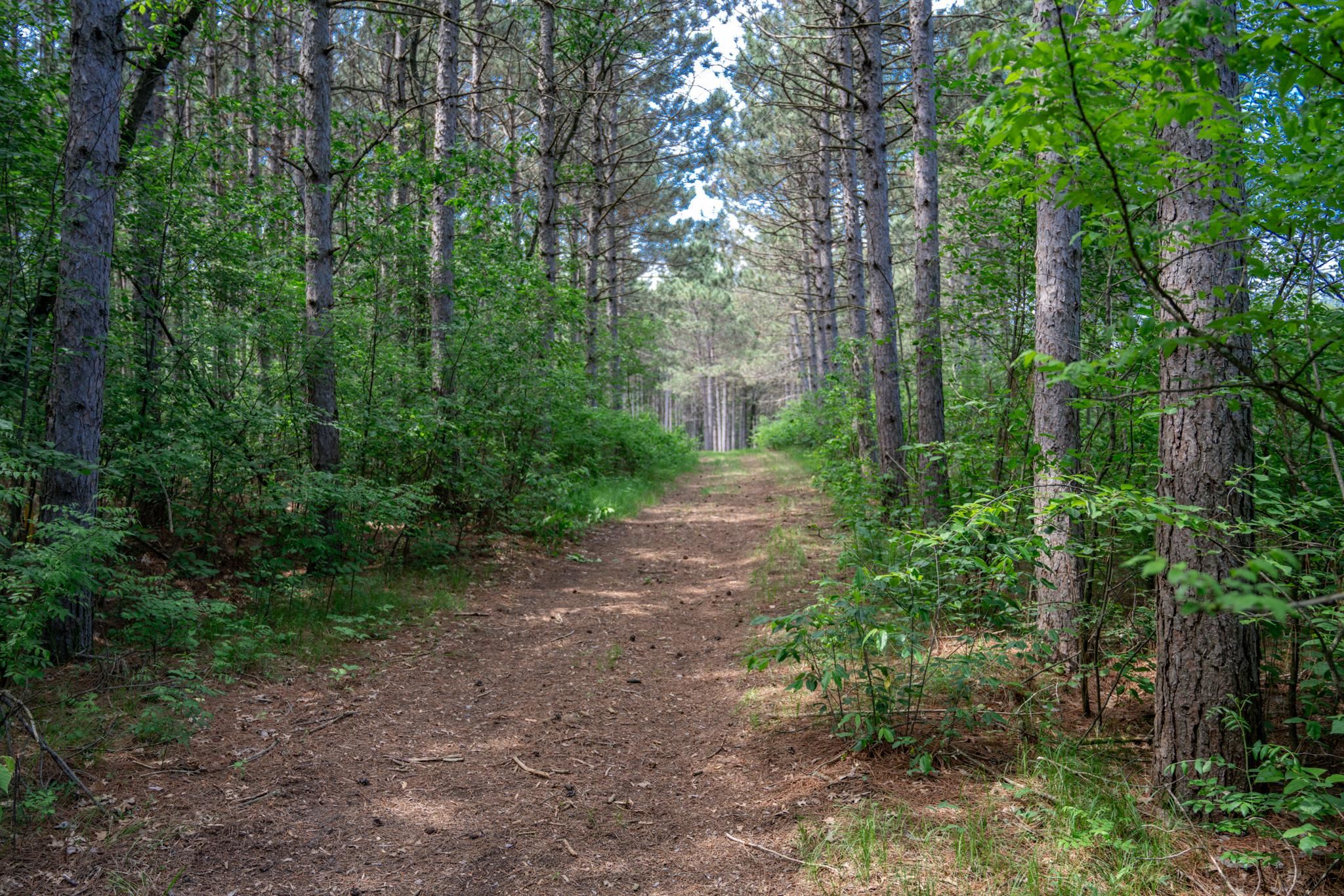 2.08-ac Clearview Nekoosa, WI 54456 - Photo 21 of 45