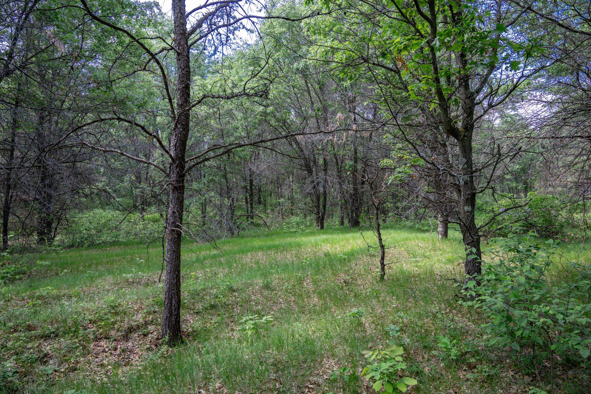 2.08-ac Clearview Nekoosa, WI 54456 - Photo 4 of 45