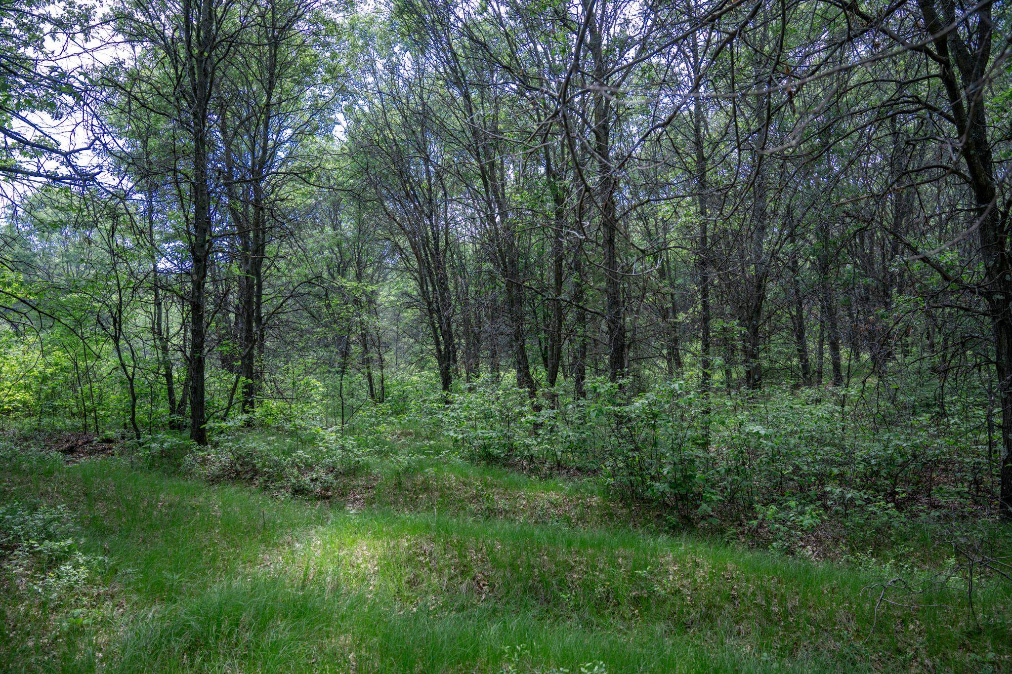 2.08-ac Clearview Nekoosa, WI 54456 - Photo 5 of 45