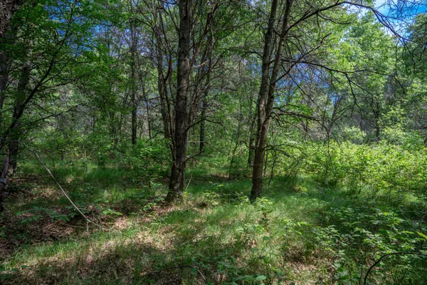 $169,400 | 2.08-ac Clearview, Nekoosa, WI 54456