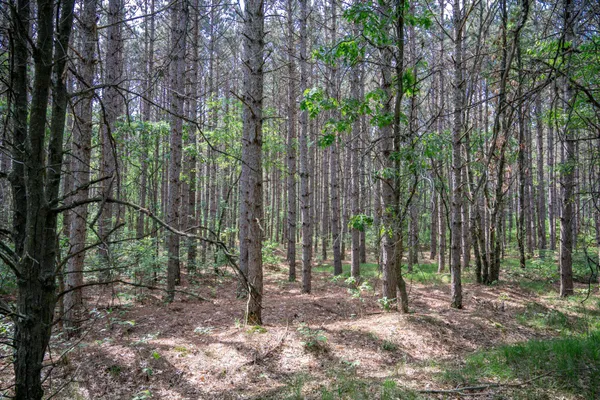 $169,400 | 2.08-ac Clearview, Nekoosa, WI 54456