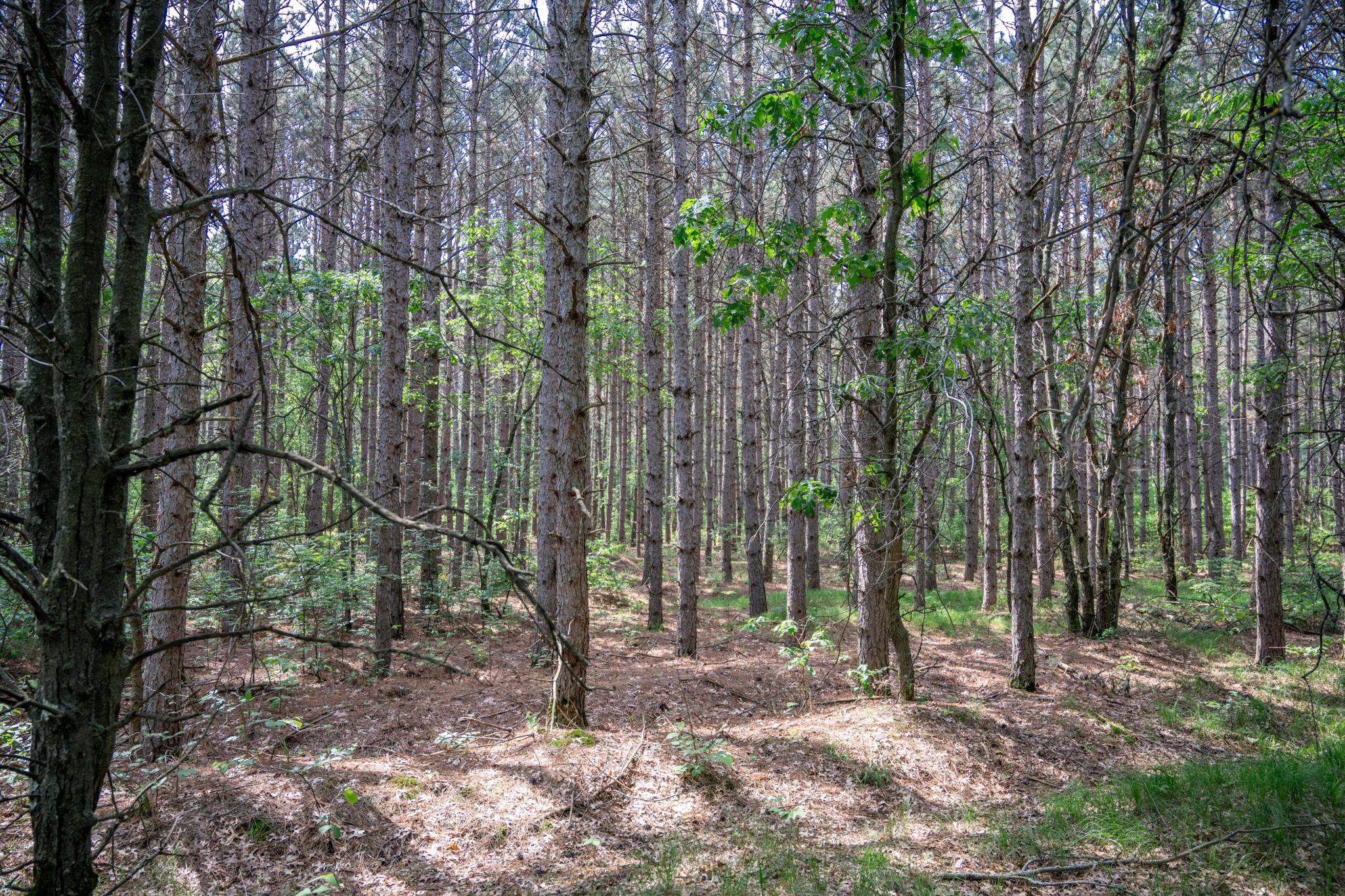 2.08-ac Clearview Nekoosa, WI 54456 - Photo 8 of 45