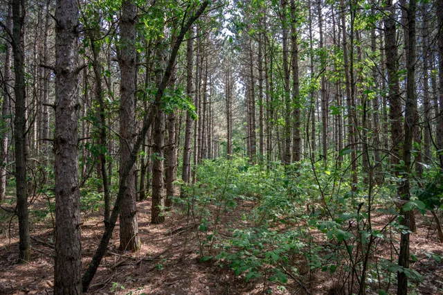 $169,400 | 2.08-ac Clearview, Nekoosa, WI 54456