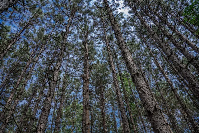 $169,400 | 2.08-ac Clearview, Nekoosa, WI 54456