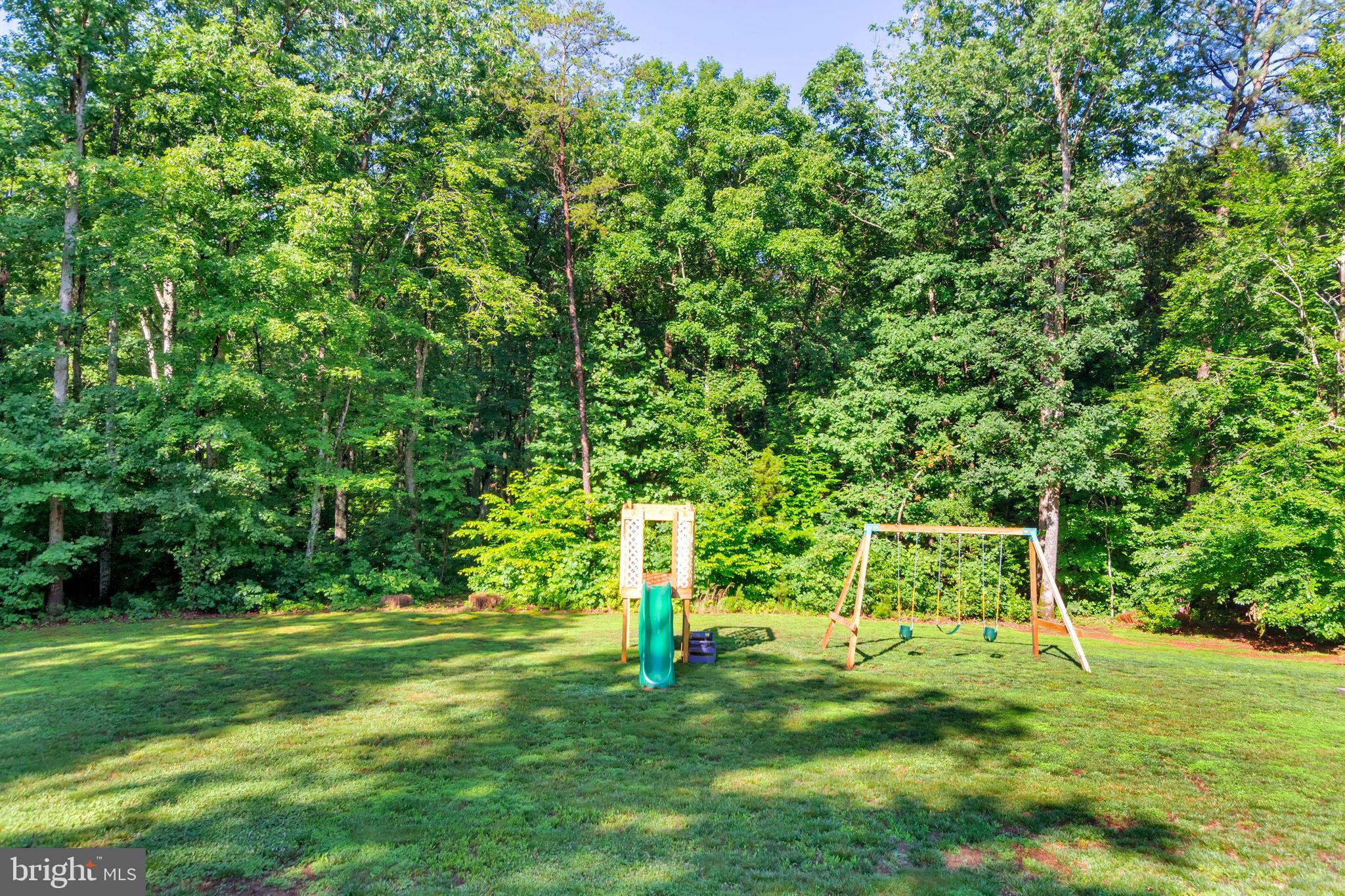 149 Dawns Ridge Louisa, VA 23093 - Photo 30 of 91 Play area