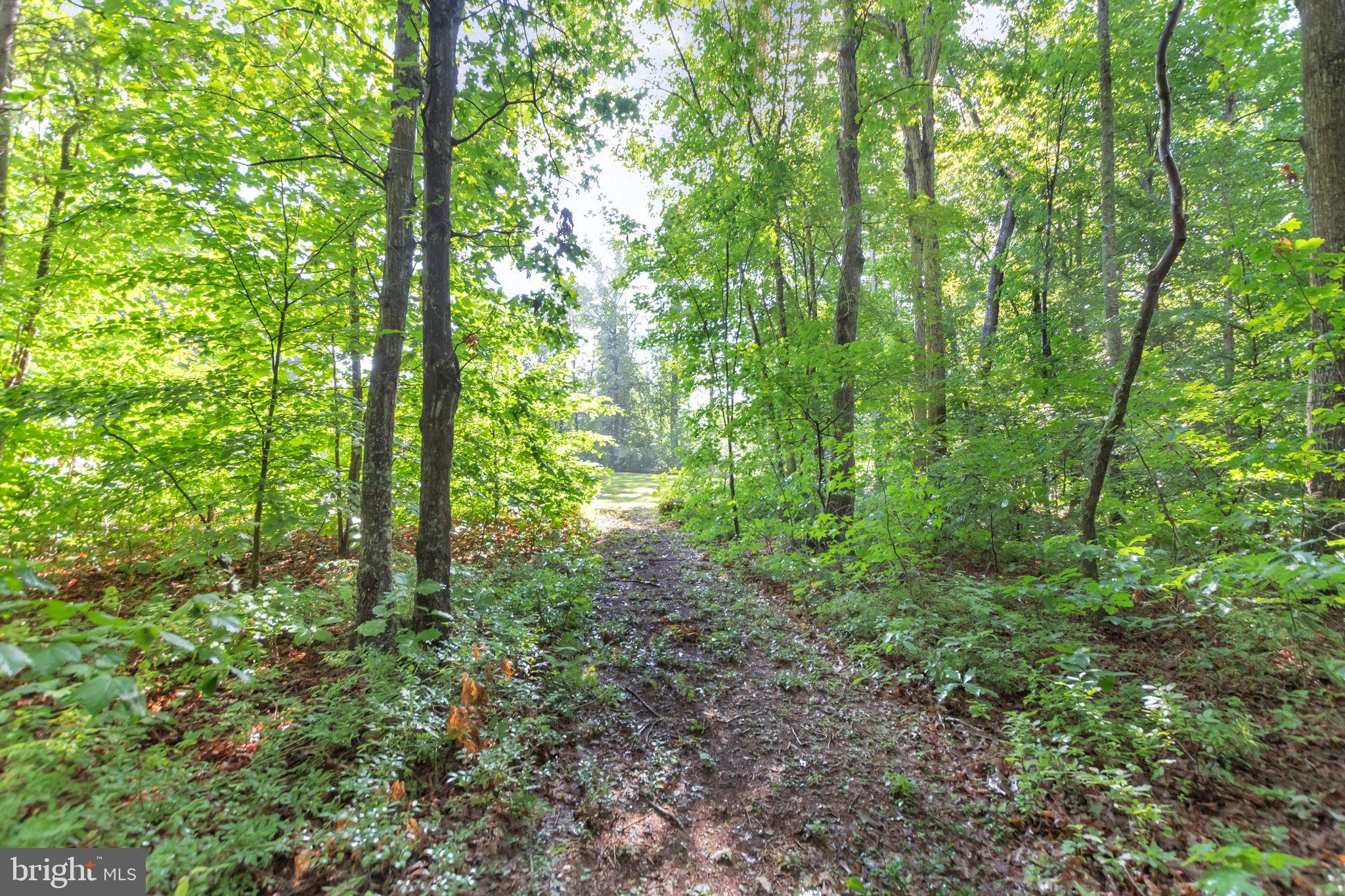 149 Dawns Ridge Louisa, VA 23093 - Photo 33 of 91 Walking Trails in the rear of home