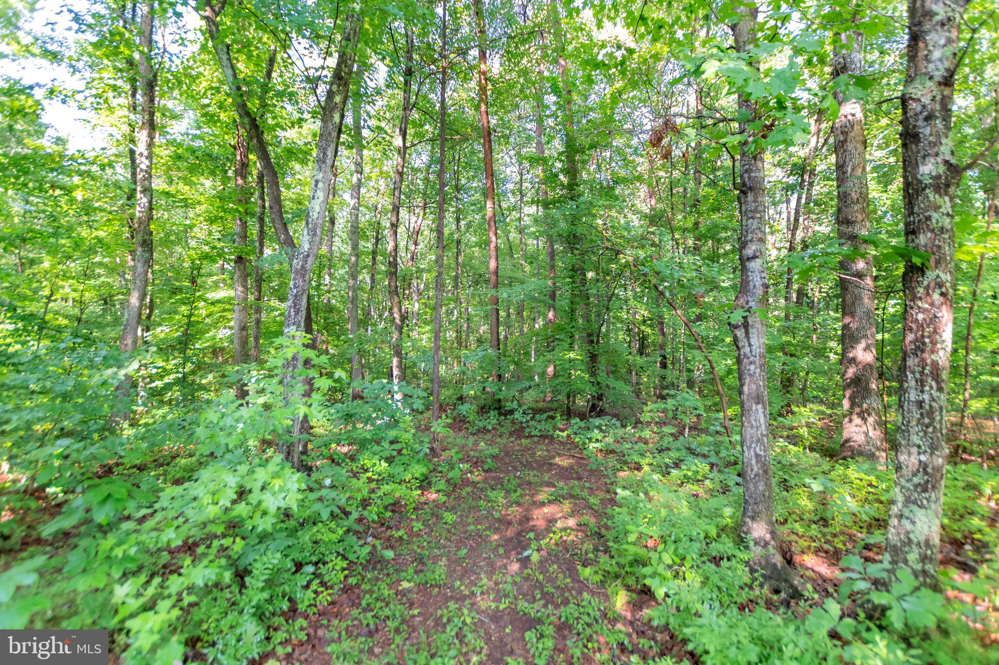 149 Dawns Ridge Louisa, VA 23093 - Photo 34 of 91