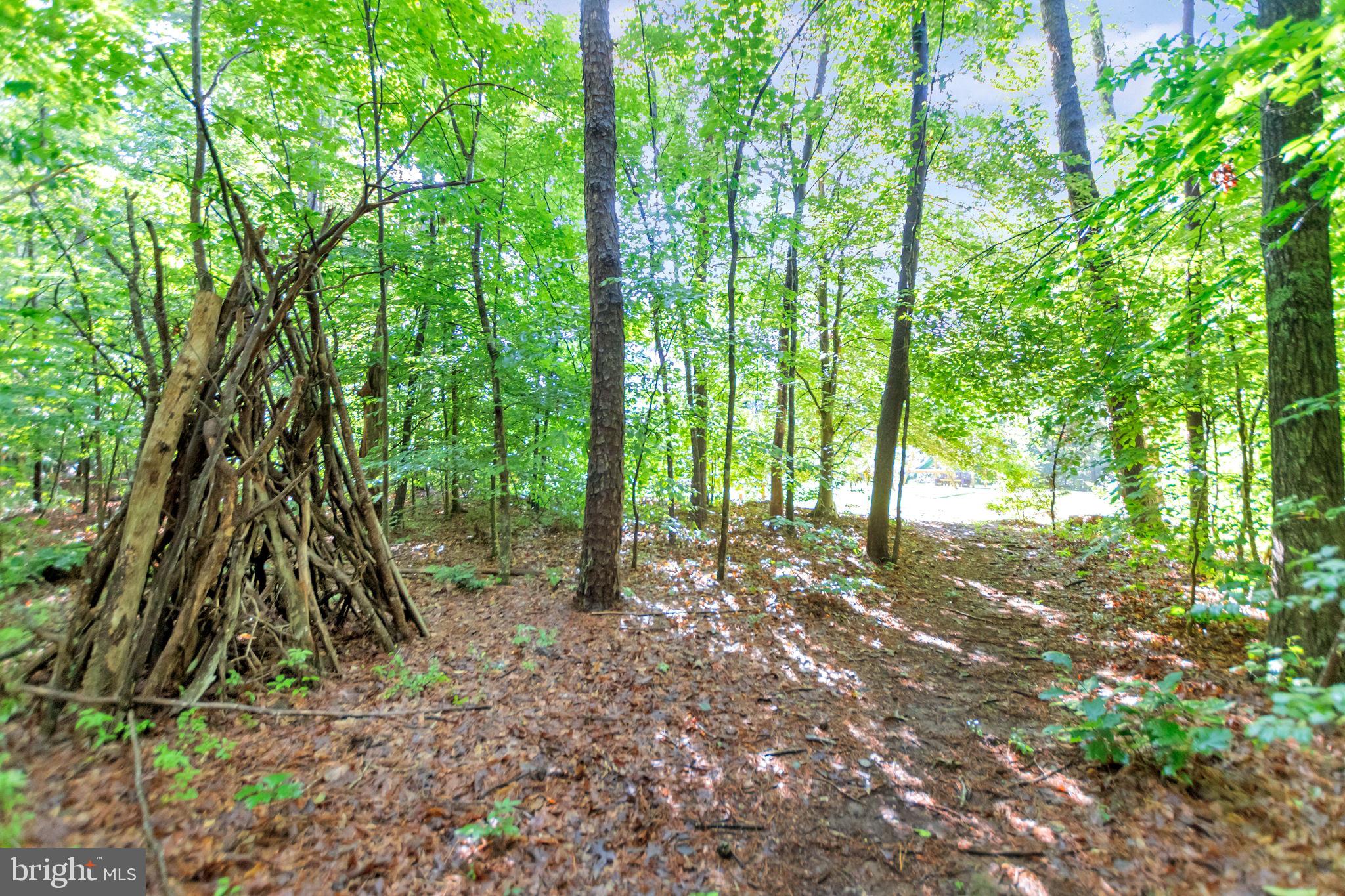 149 Dawns Ridge Louisa, VA 23093 - Photo 36 of 91 Walking trails