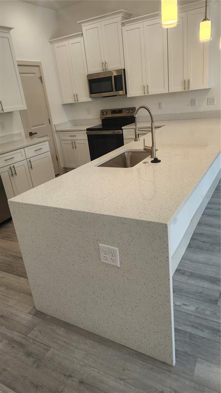 23469 Roscoe Avenue Punta Gorda, FL 33980 - Photo 4 of 26 a close view of a sink a counter space and cabinets in the kitchen