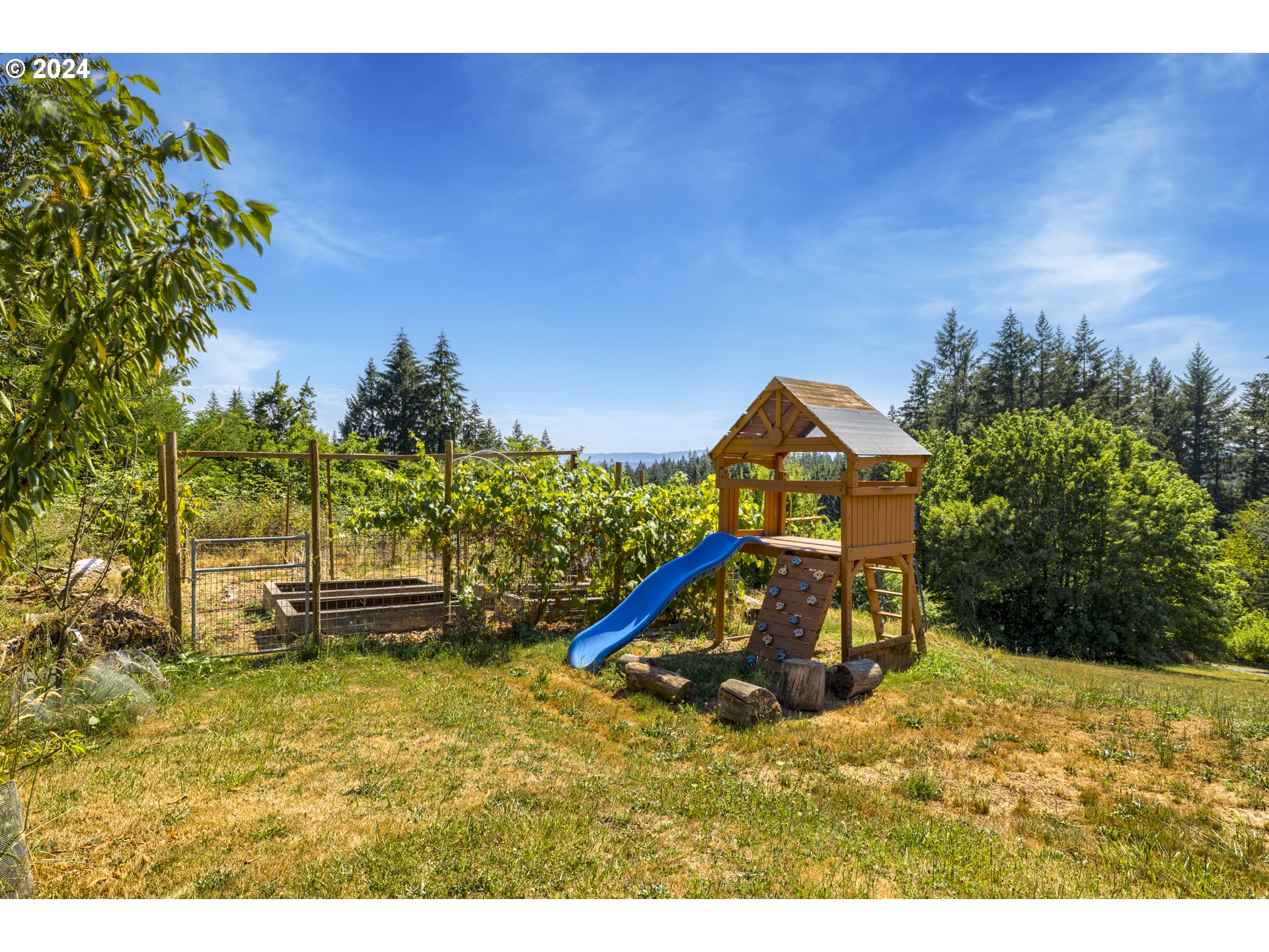 11400 Northwest Plainview Road Portland, OR 97231 - Photo 42 of 48 a backyard of a house with lots of green space