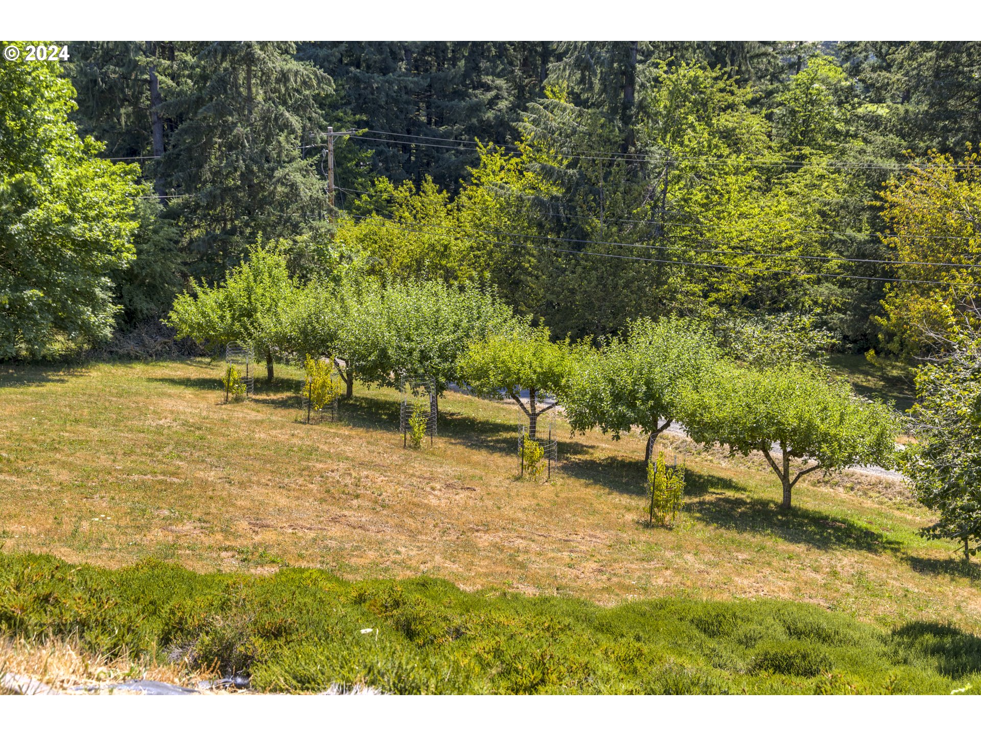 11400 Northwest Plainview Road Portland, OR 97231 - Photo 43 of 48 a backyard of a house with lots of green space