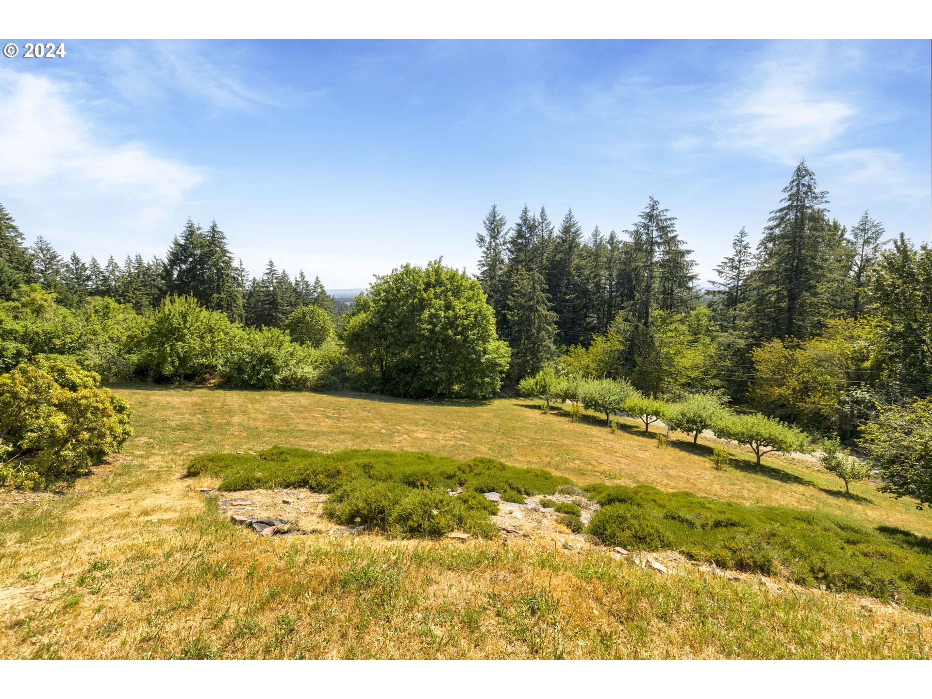 11400 Northwest Plainview Road Portland, OR 97231 - Photo 45 of 48 a view of a yard