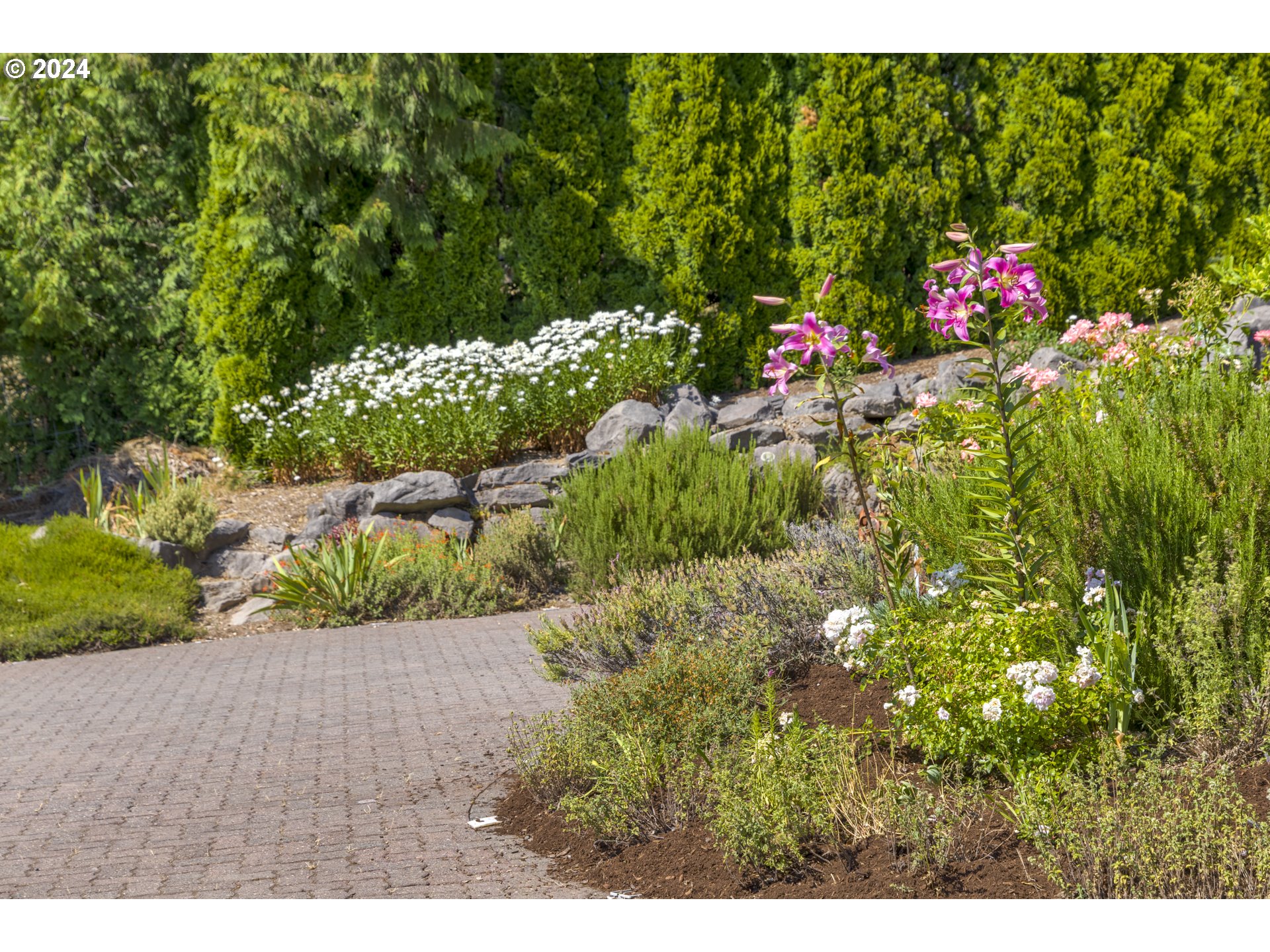 11400 Northwest Plainview Road Portland, OR 97231 - Photo 46 of 48 a picture of flowers