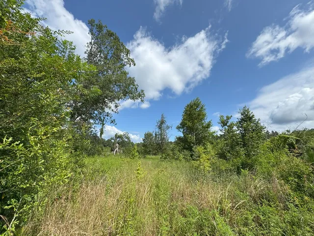 $159,121 | 0 Hutson Morris Road, Columbia, MS 39429