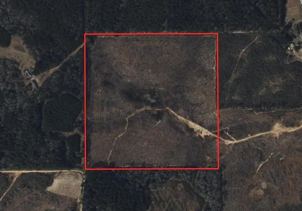 $140,000 | 0 Hutson Morris Road, Columbia, MS 39429