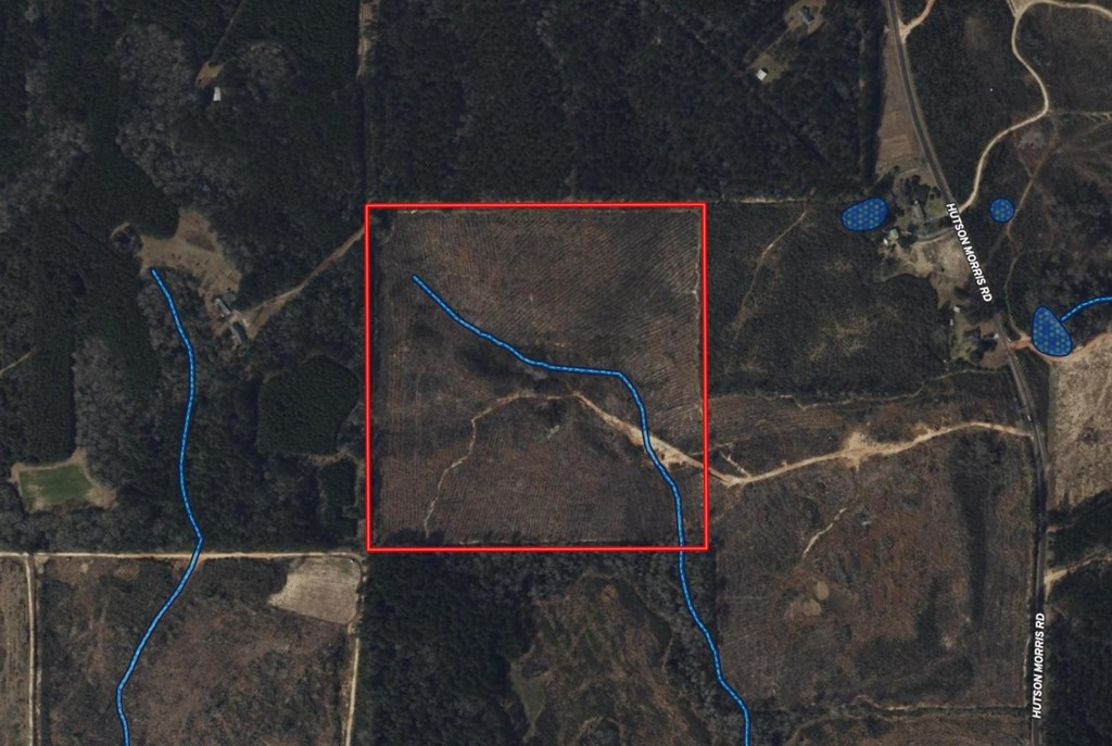 0 Hutson Morris Road Columbia, MS 39429 - Photo 15 of 16 Photo 15