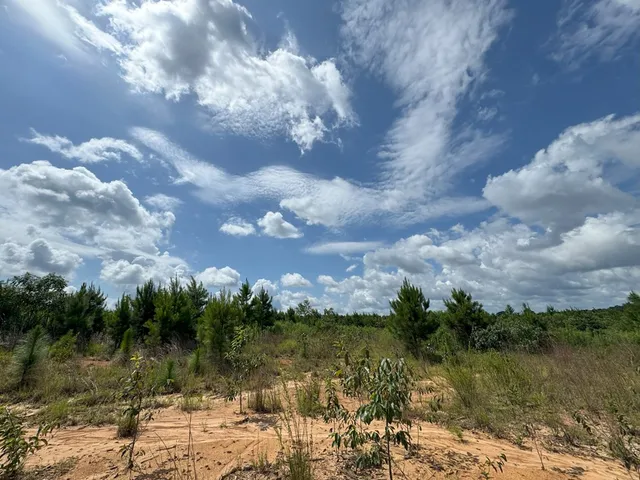 $159,121 | 0 Hutson Morris Road, Columbia, MS 39429