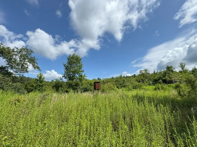 $159,121 | 0 Hutson Morris Road, Columbia, MS 39429