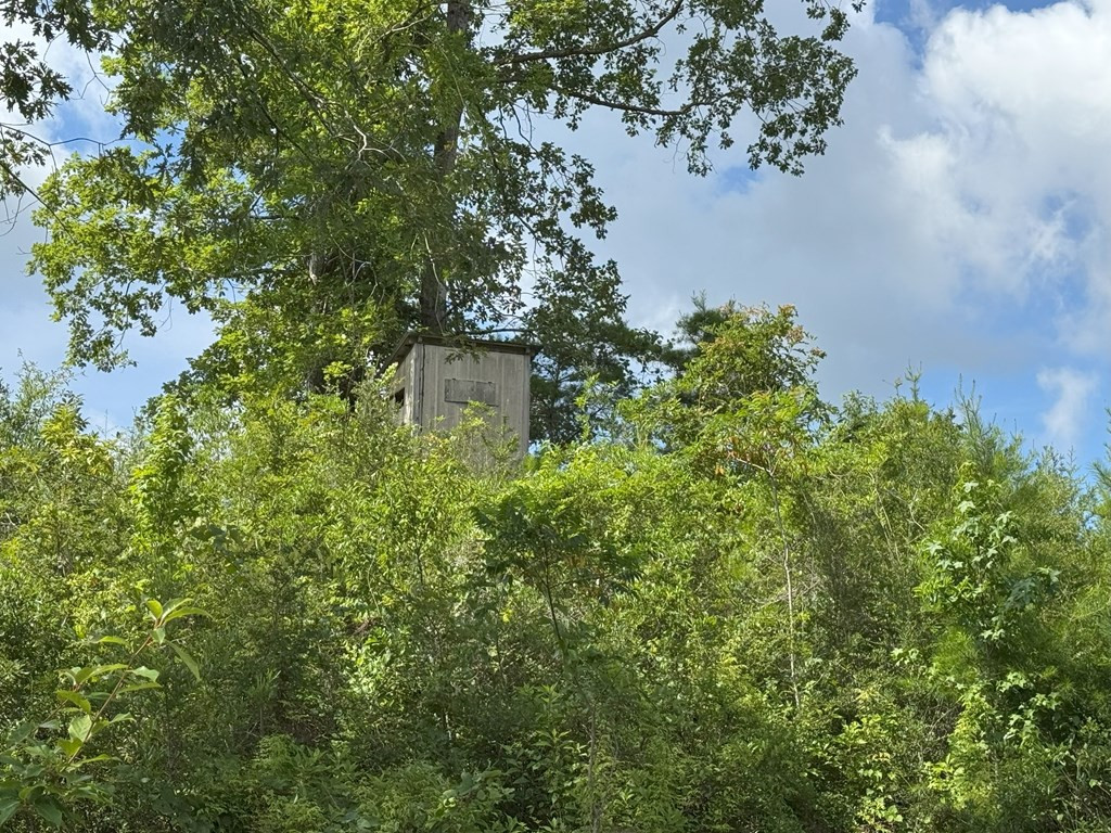 0 Hutson Morris Road Columbia, MS 39429 - Photo 4 of 16 Photo 4