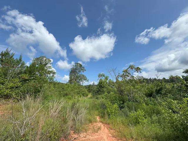 $159,121 | 0 Hutson Morris Road, Columbia, MS 39429