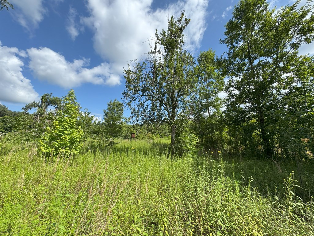 0 Hutson Morris Road Columbia, MS 39429 - Photo 10 of 16 Photo 10