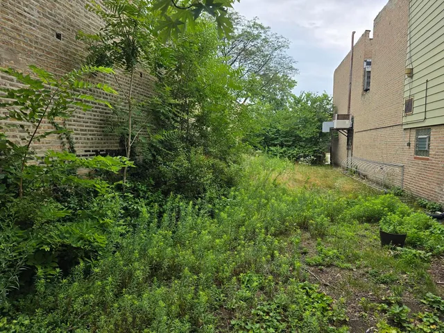a view of a back yard