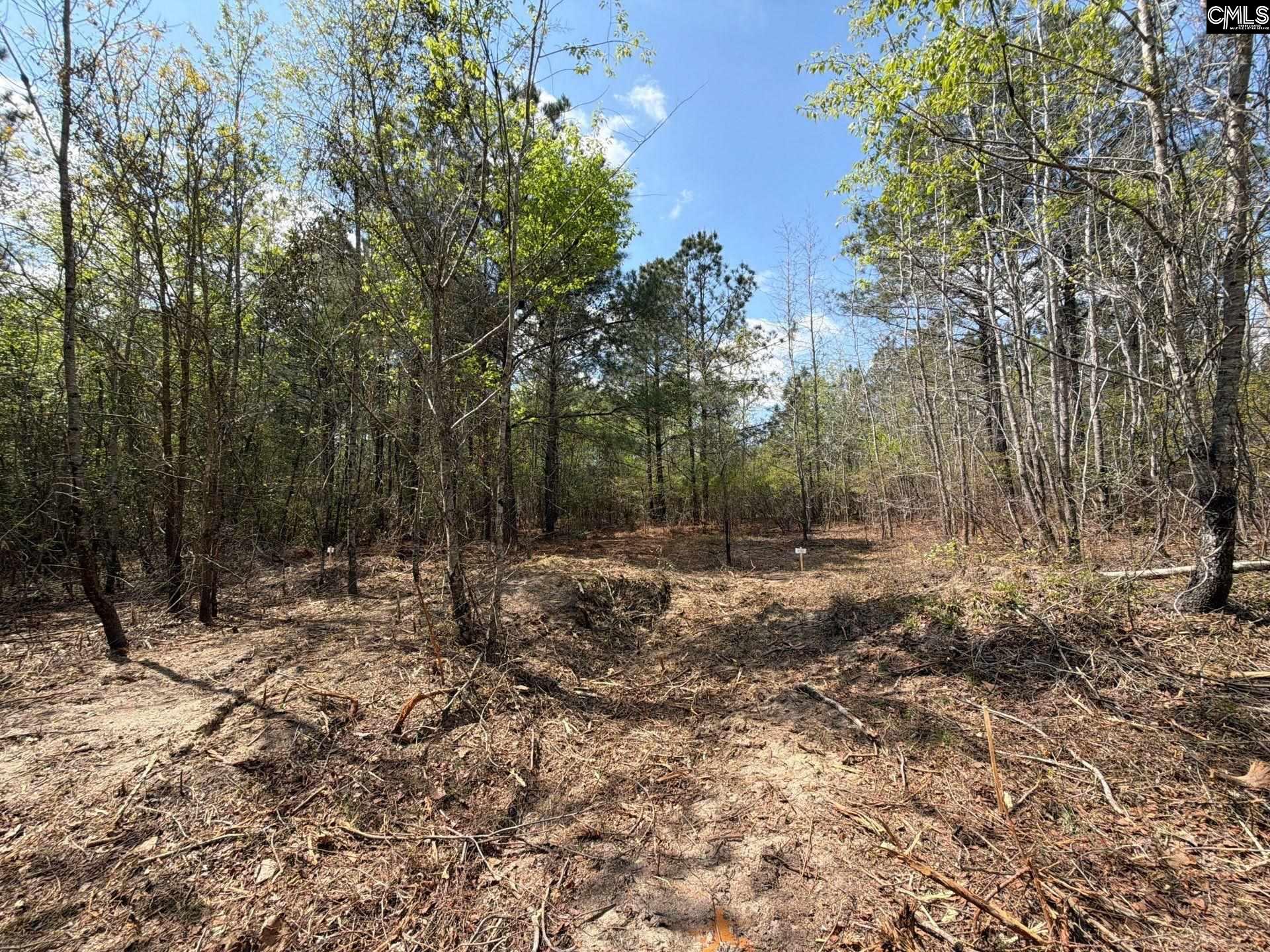 2 Mt Calvary Rd Ridge Spring, Unit CA 2 Ridge Spring, SC 29129 - Photo 12 of 29