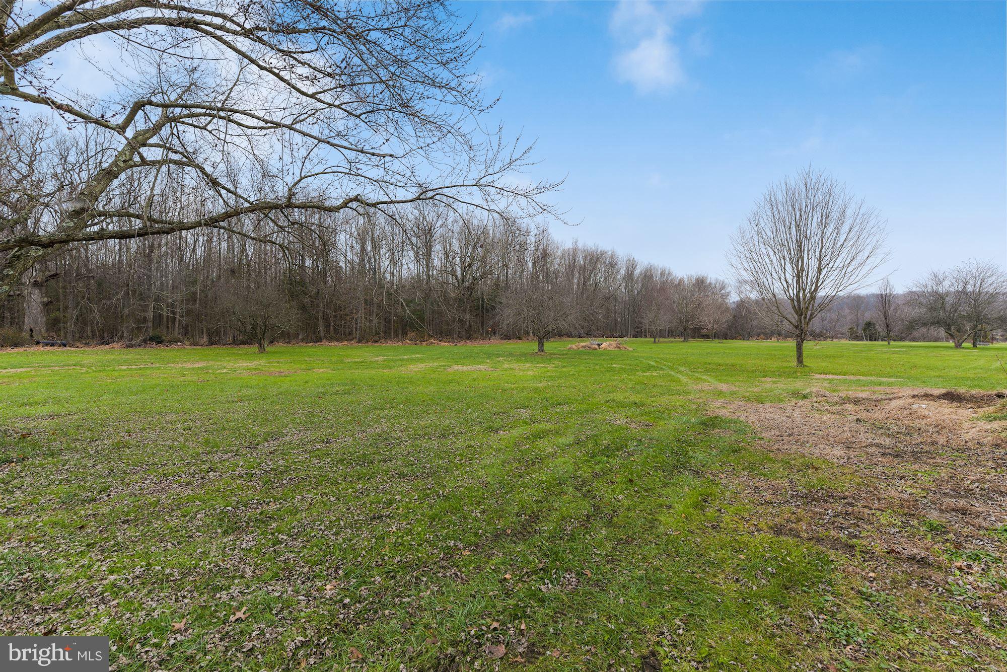 221 Arneys Mt Road Pemberton, NJ 08068 - Photo 26 of 28 a view of a yard with a house