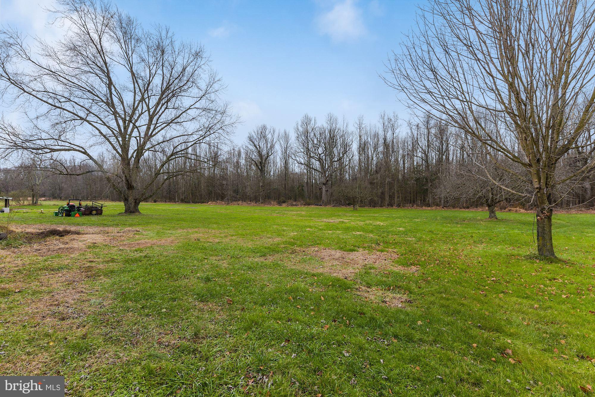 221 Arneys Mt Road Pemberton, NJ 08068 - Photo 28 of 28 a view of a grassy field with trees