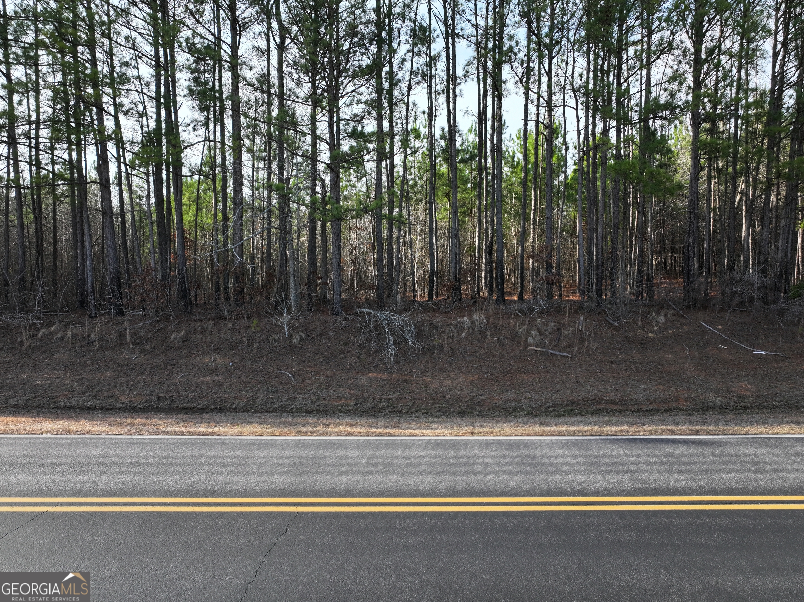 0 Thompson Road, Unit LOT 300 Franklin, GA 30217 - Photo 1 of 1 Gallery Image 1