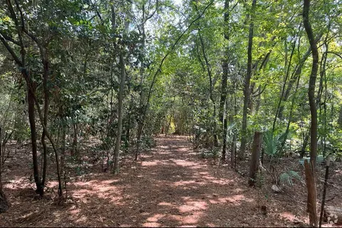 $1,550,000 | 242 Vanderpool Lane, Houston, TX 77024