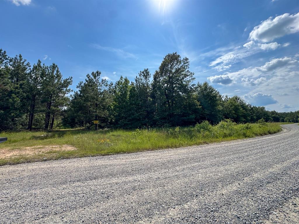 0 Ferguson Road Coushatta, LA 71019 - Photo 3 of 13