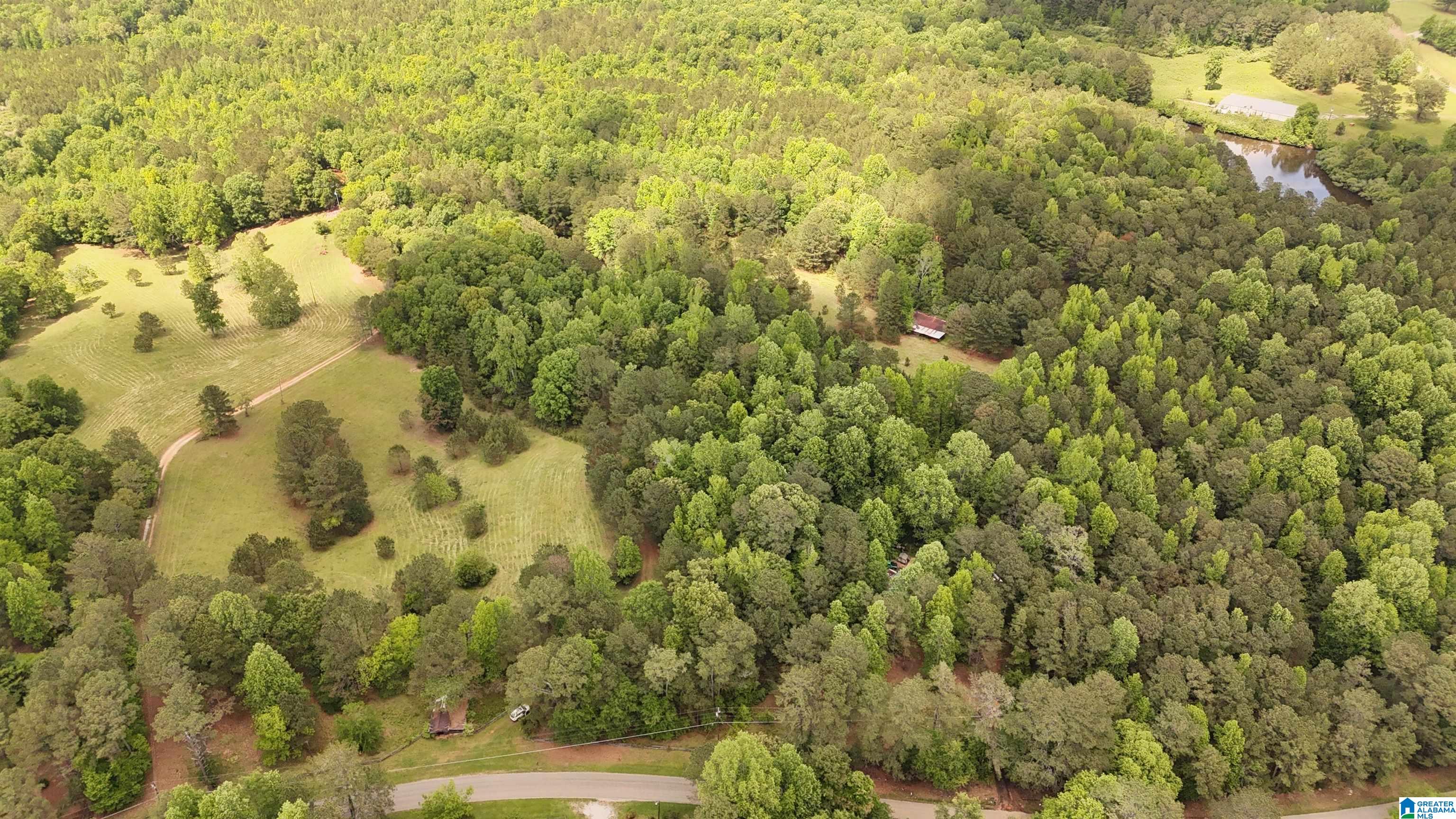 2488 Louina Road Roanoke, AL 36274 - Photo 95 of 97