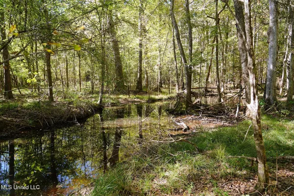 $344,500 | 0 Southwest Jackson Liberty Drive Southwest, Smithdale, MS 39664