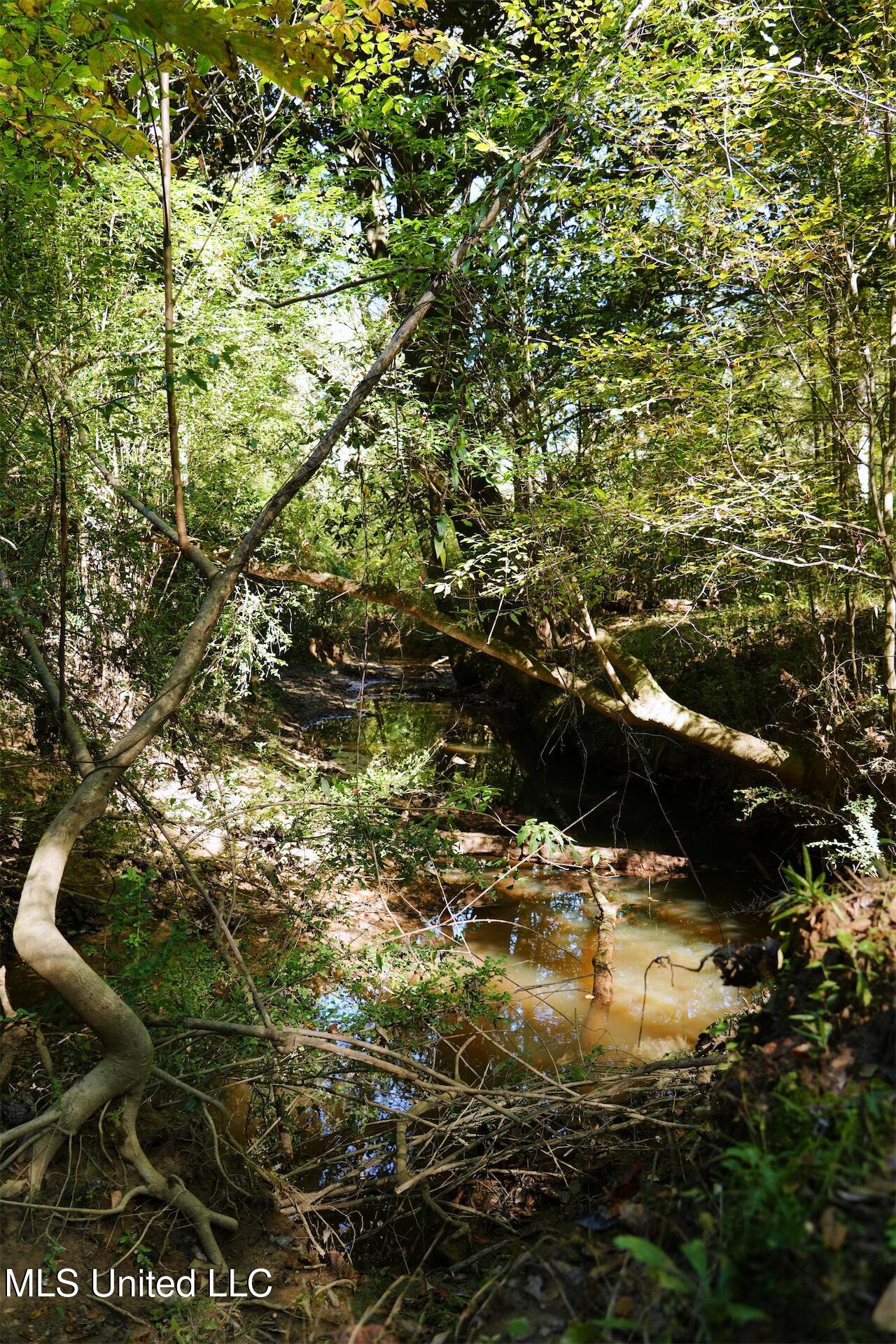 0 Southwest Jackson Liberty Drive Southwest Bogue Chitto, MS 39629 - Photo 11 of 33 DSC00300