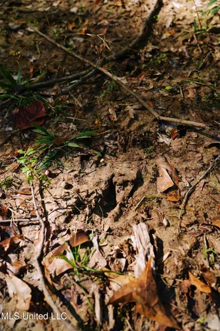 $357,500 | 0 Southwest Jackson Liberty Drive Southwest, Bogue Chitto, MS 39629