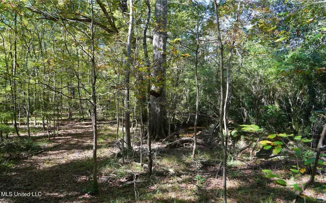 $357,500 | 0 Southwest Jackson Liberty Drive Southwest, Bogue Chitto, MS 39629