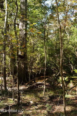 $357,500 | 0 Southwest Jackson Liberty Drive Southwest, Bogue Chitto, MS 39629