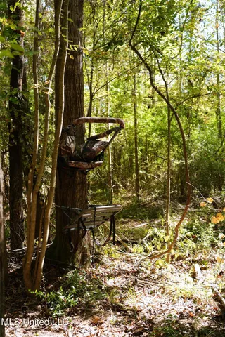 $357,500 | 0 Southwest Jackson Liberty Drive Southwest, Bogue Chitto, MS 39629