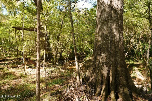 $357,500 | 0 Southwest Jackson Liberty Drive Southwest, Bogue Chitto, MS 39629