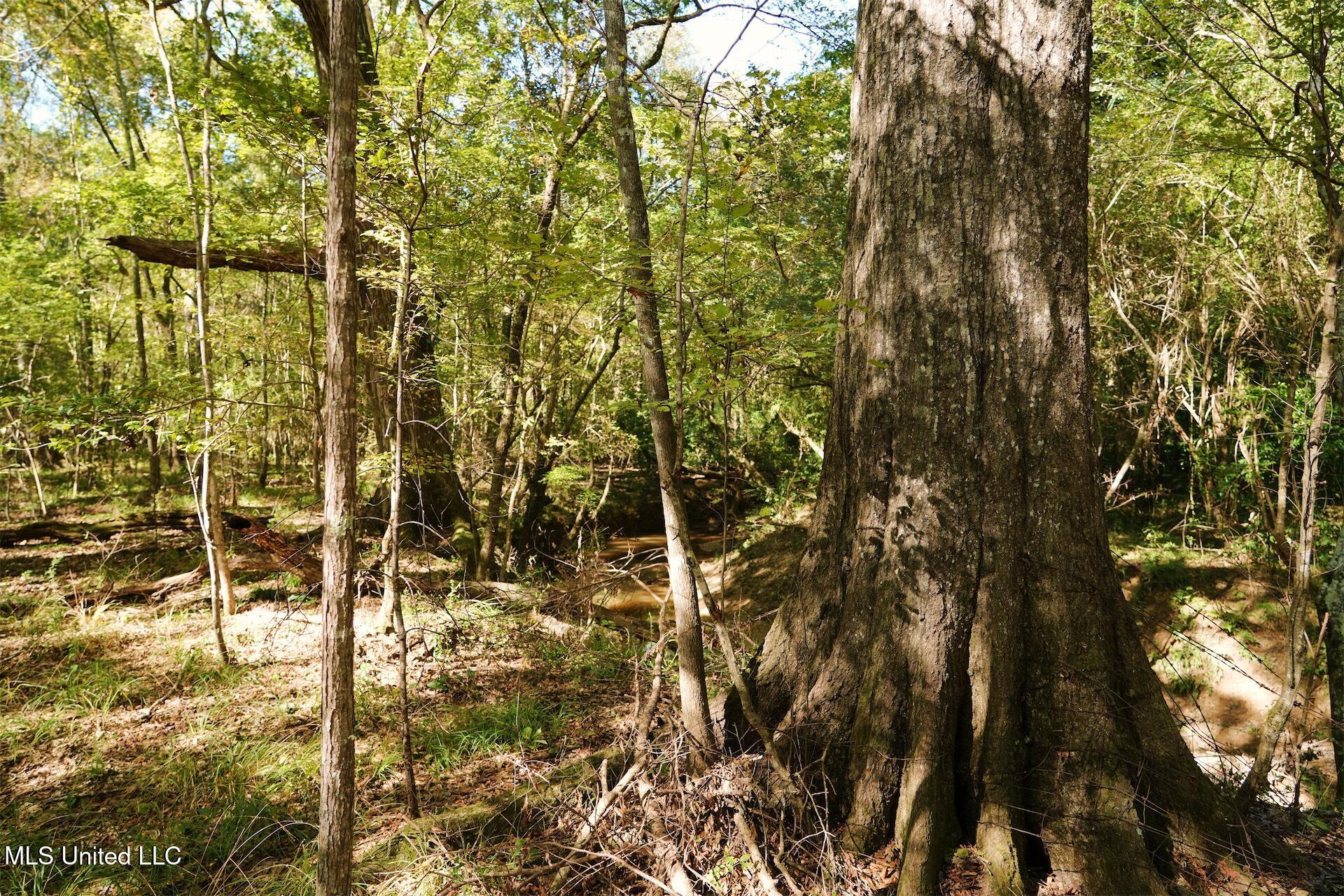 0 Southwest Jackson Liberty Drive Southwest Bogue Chitto, MS 39629 - Photo 16 of 33 DSC00305