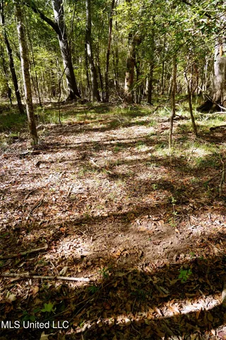 $357,500 | 0 Southwest Jackson Liberty Drive Southwest, Bogue Chitto, MS 39629