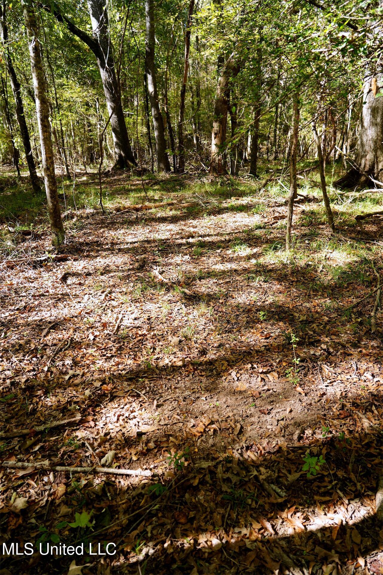 0 Southwest Jackson Liberty Drive Southwest Bogue Chitto, MS 39629 - Photo 17 of 33 DSC00308